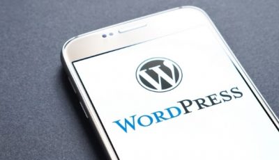 Sử dụng Multi Domain trên WordPress